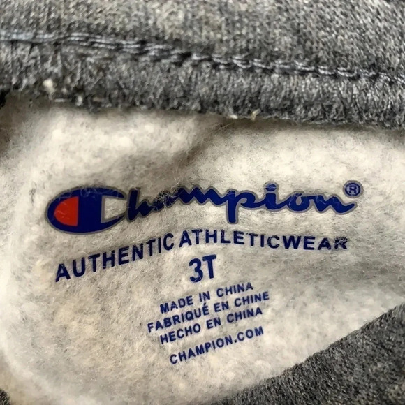 Champion Sweatshirt & Pant Set Toddler Gray Size 3T New - Picture 10 of 11
